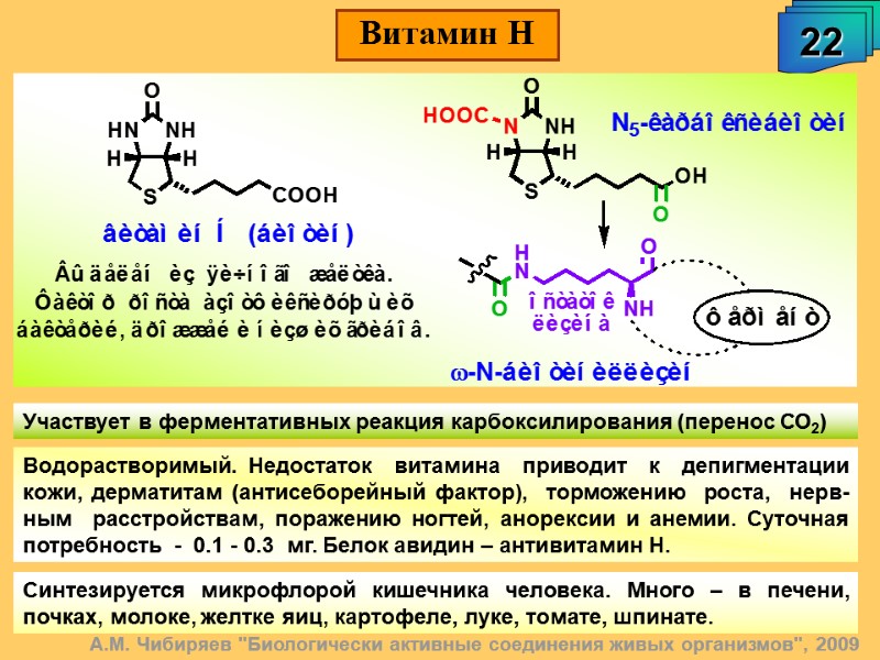 А.М. Чибиряев 